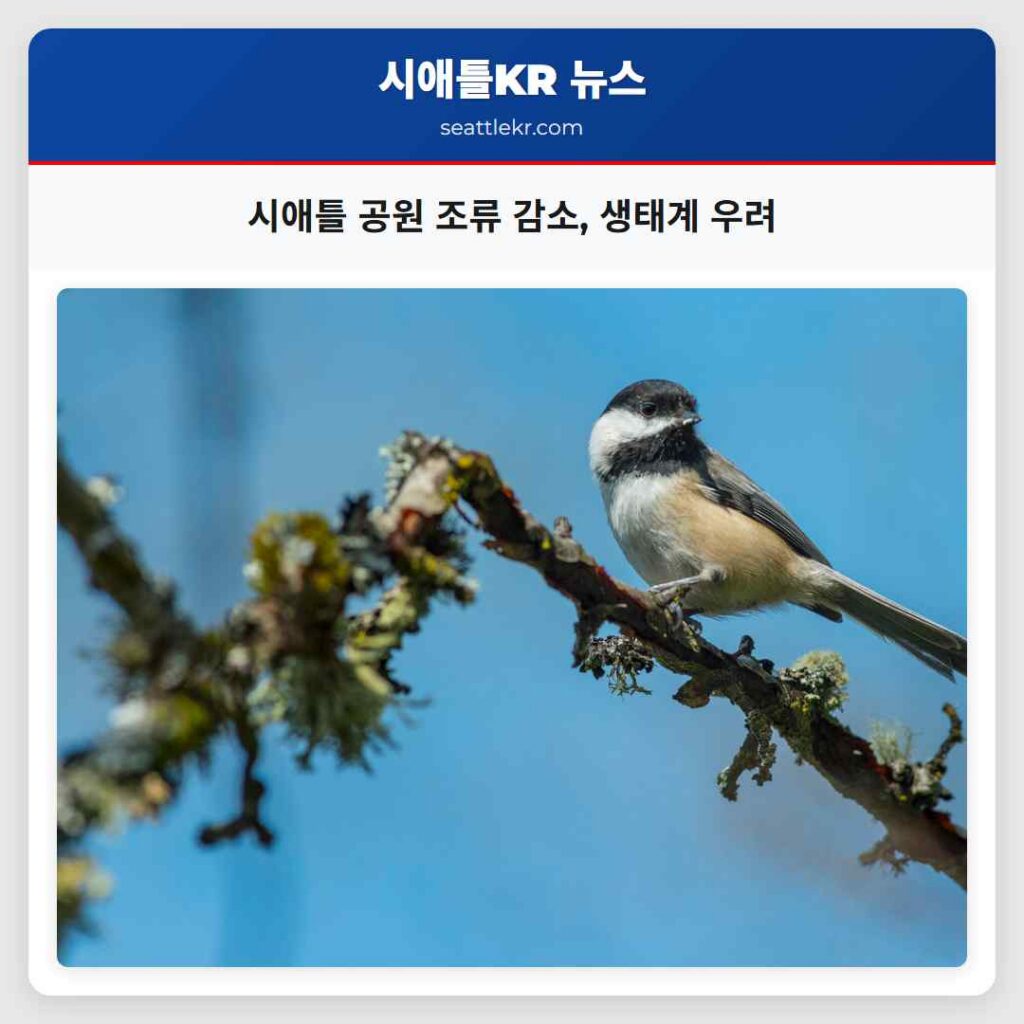 시애틀 공원 조류 감소, 생태계 우려