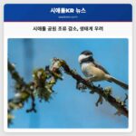 시애틀 공원 조류 감소 생태계 우려