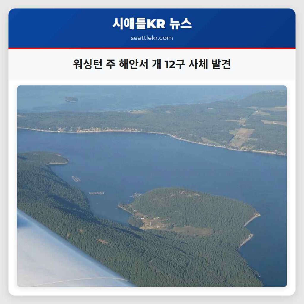 워싱턴 주 해안서 개 12구 사체 발견