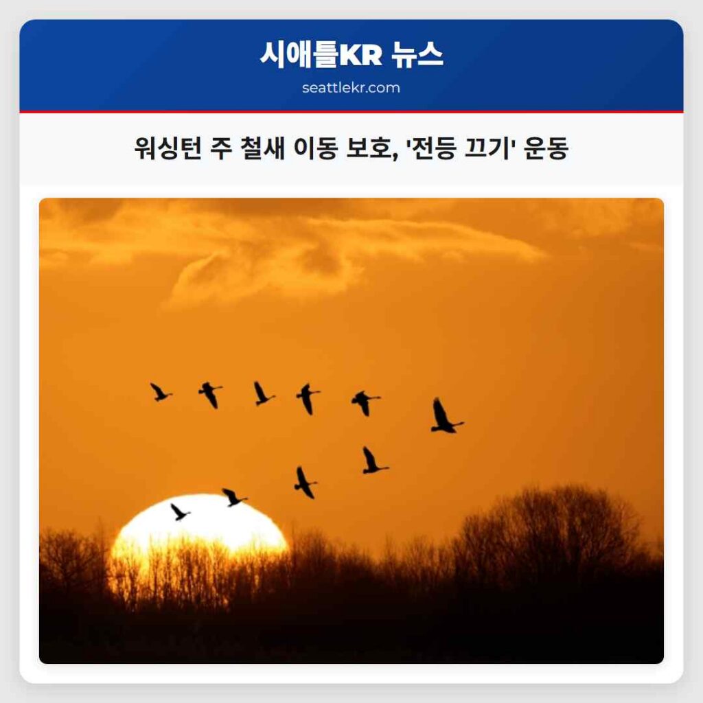 워싱턴 주 철새 이동 보호, '전등 끄기' 운동