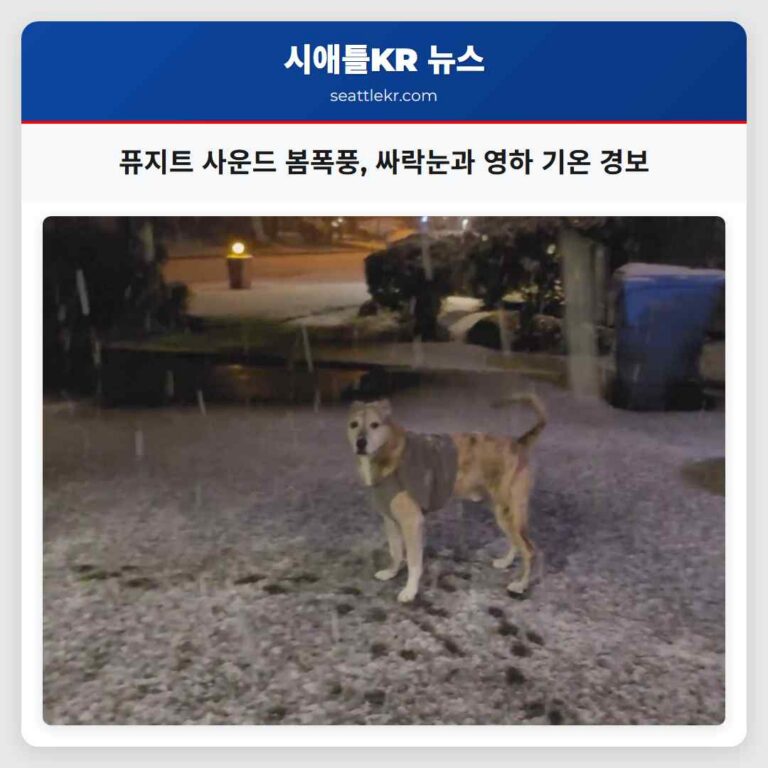 퓨지트 사운드 봄폭풍 싸락눈과 영하 기온 경보