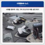 시애틀 탭루트 극장 구리 도난으로 여름 공연 위기