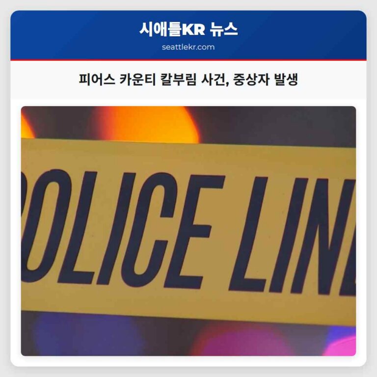 피어스 카운티 칼부림 사건 중상자 발생