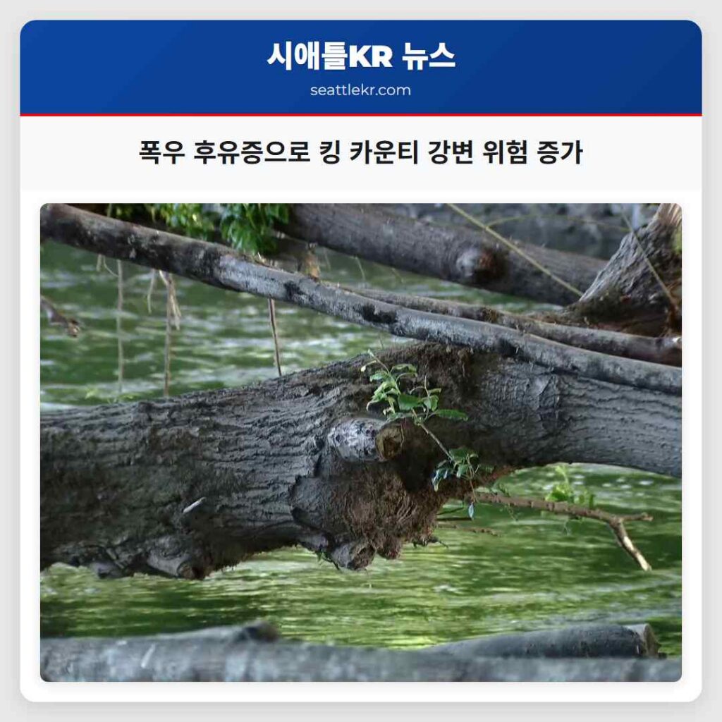폭우 후유증으로 킹 카운티 강변 위험 증가
