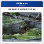 폭우 후유증으로 킹 카운티 강변 위험 증가
