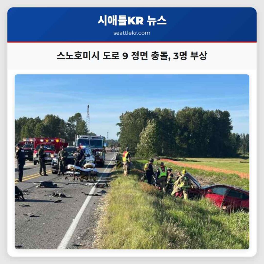 스노호미시 도로 9 정면 충돌, 3명 부상