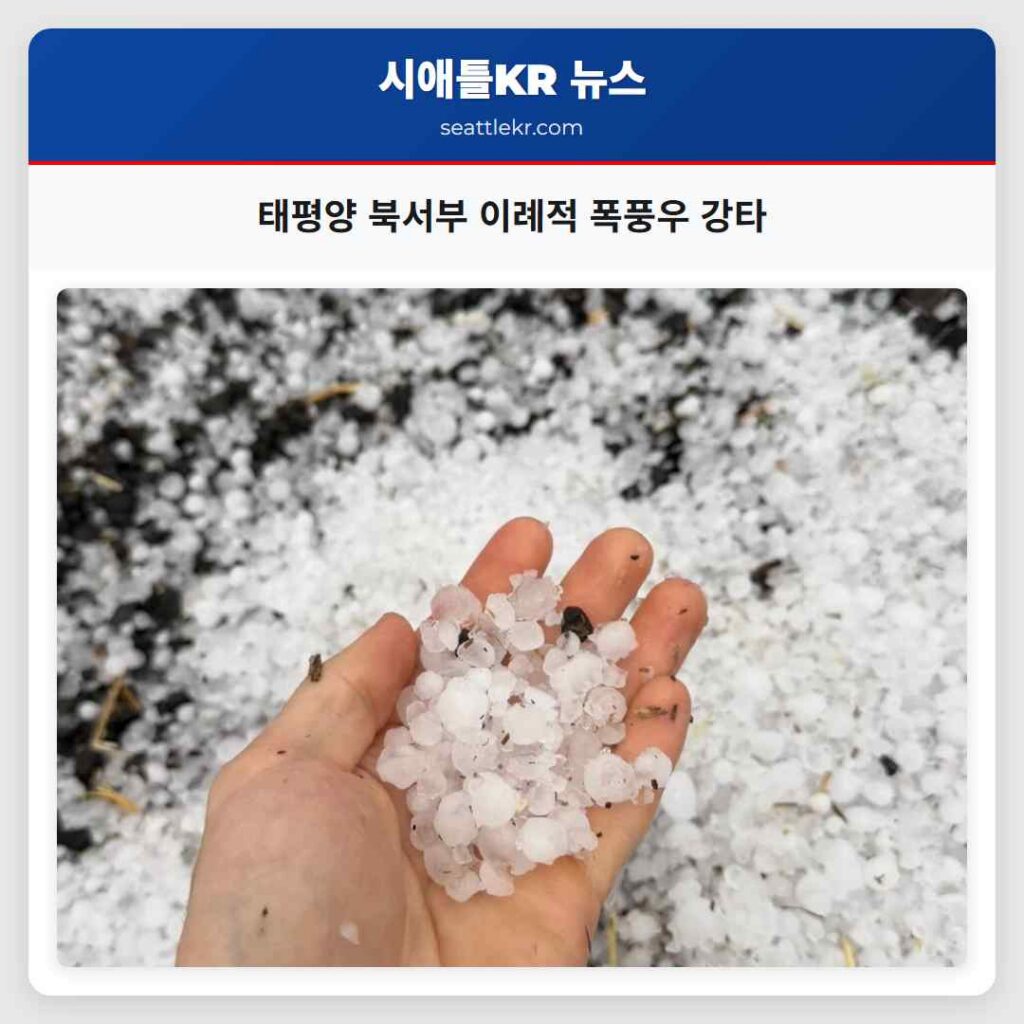 태평양 북서부 이례적 폭풍우 강타