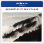 파이크 플레이스 마켓 안전 강화 및 의견 수렴 시작