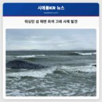 워싱턴 섬 해변 회색 고래 사체 발견