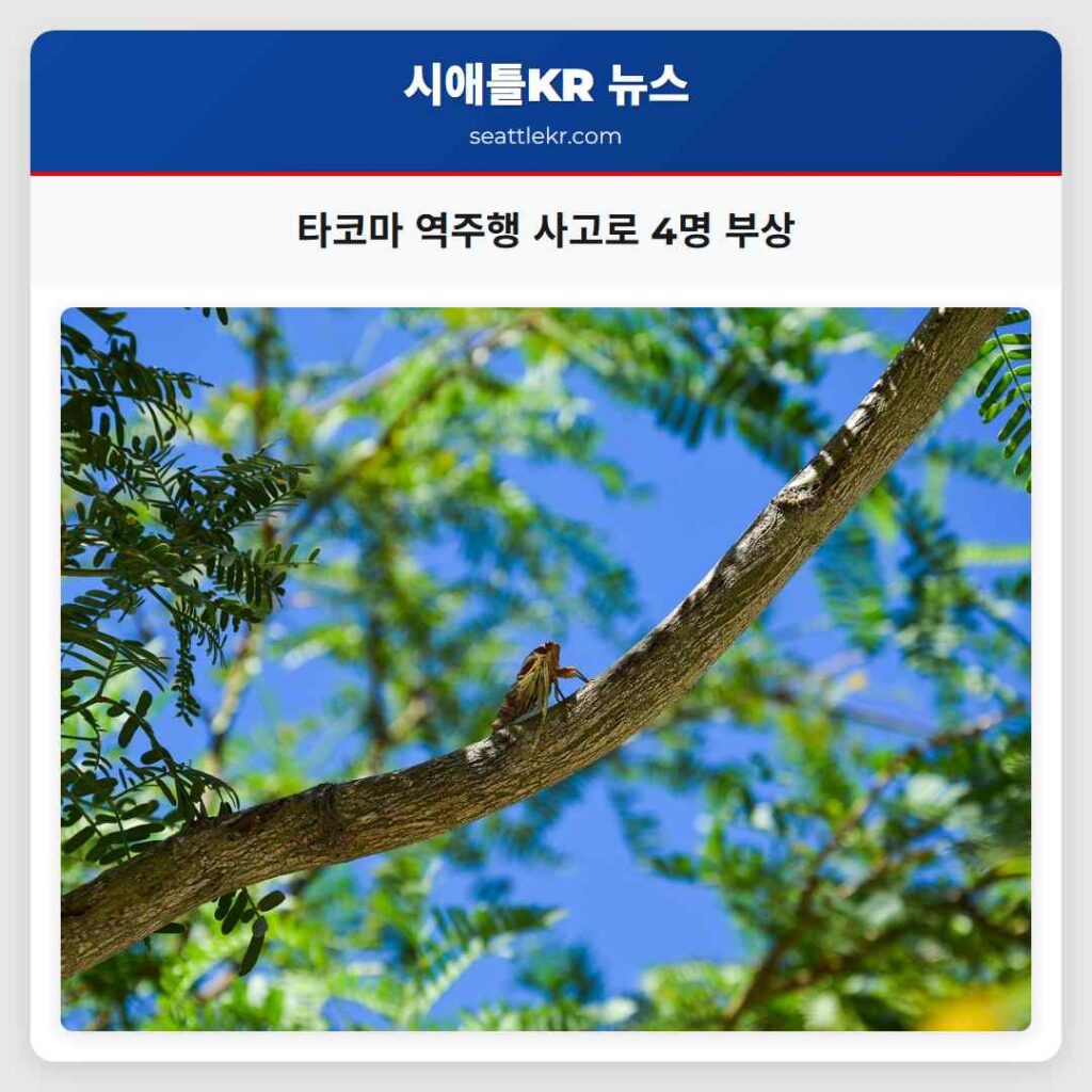 타코마 역주행 사고로 4명 부상