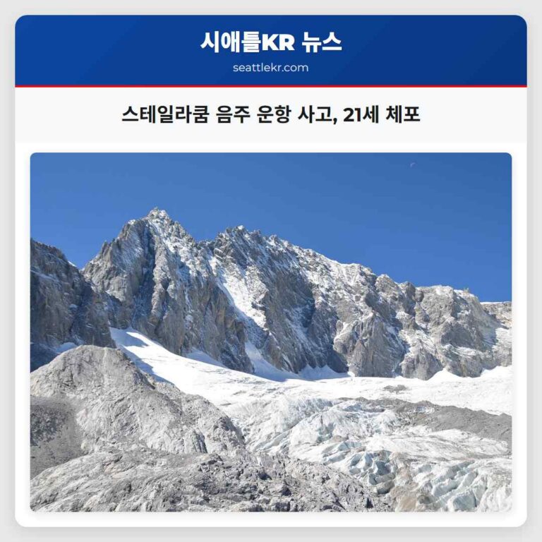 스테일라쿰 음주 운항 사고 21세 체포