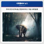 트리스탄 데 쿠냐섬 한탄바이러스 의심 사례 발생