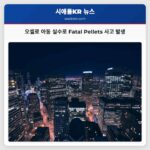 오셀로 아동 실수로 Fatal Pellets 사고 발생