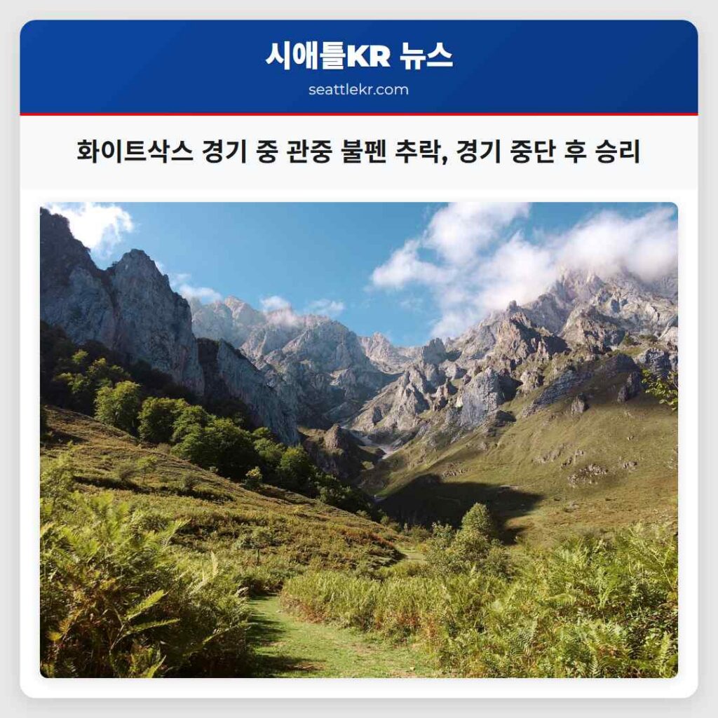 화이트삭스 경기 중 관중 불펜 추락, 경기 중단 후 승리