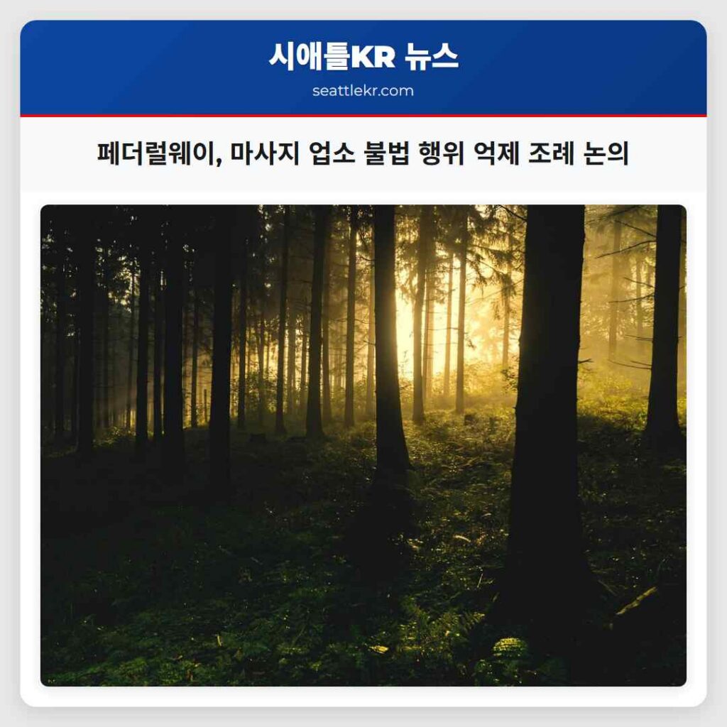 페더럴웨이, 마사지 업소 불법 행위 억제 조례 논의