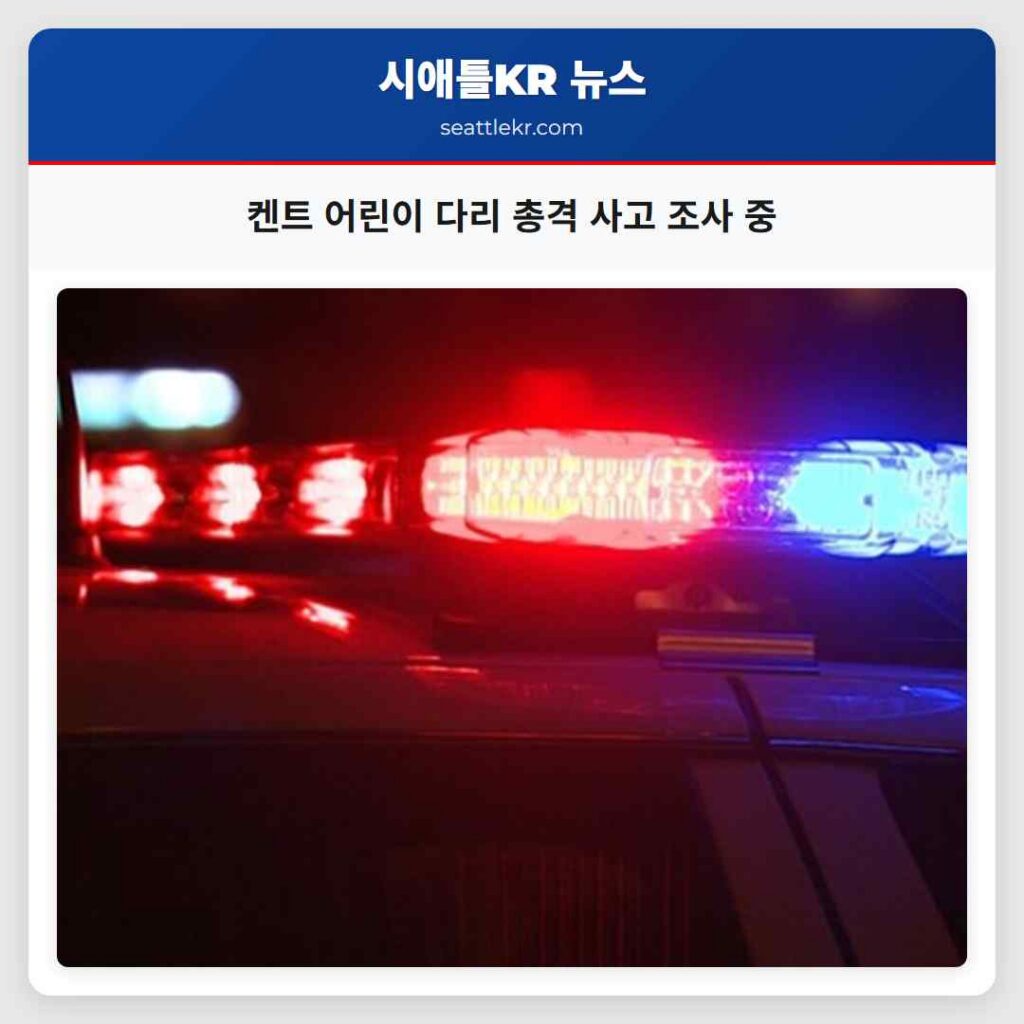 켄트 어린이 다리 총격 사고 조사 중