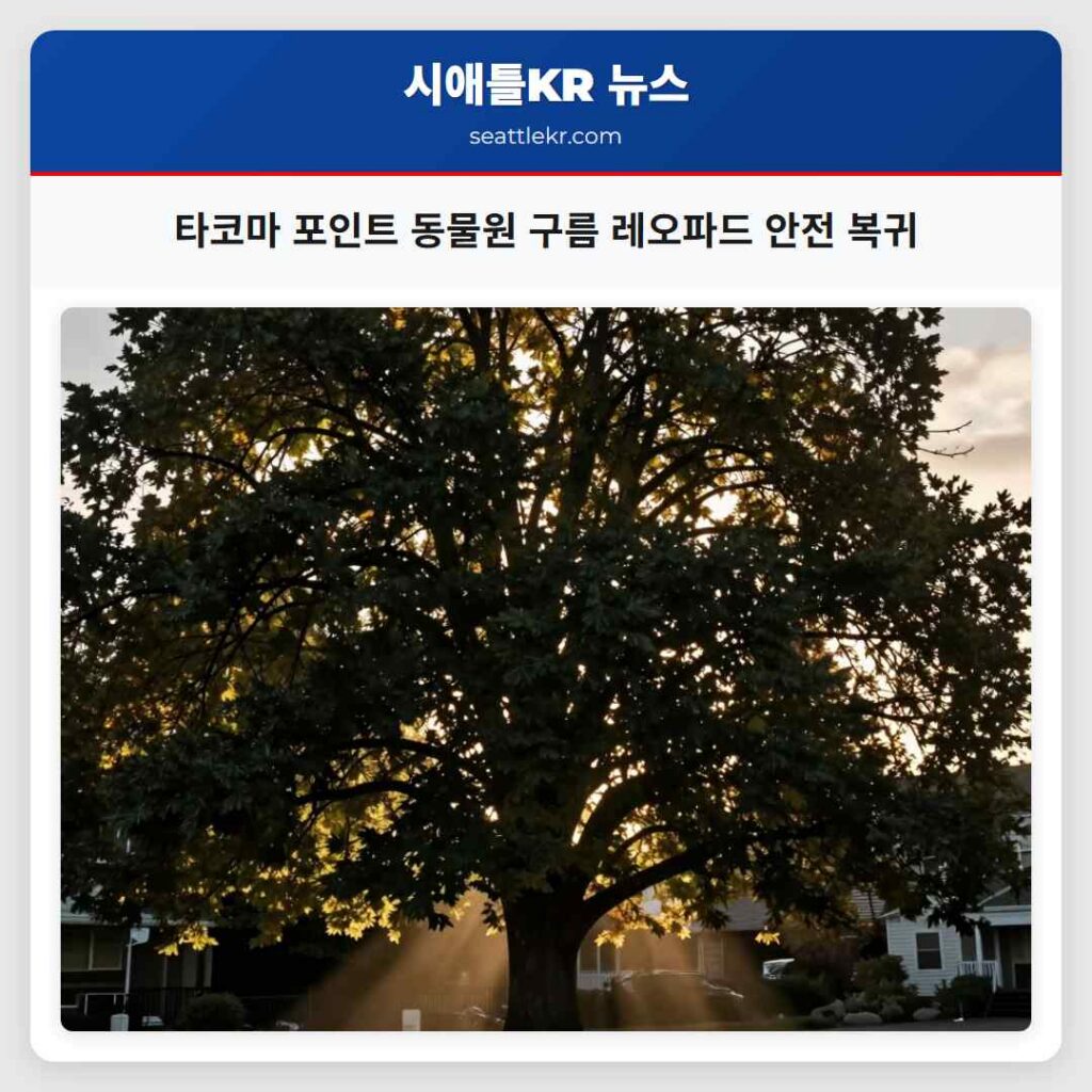 타코마 포인트 동물원 구름 레오파드 안전 복귀