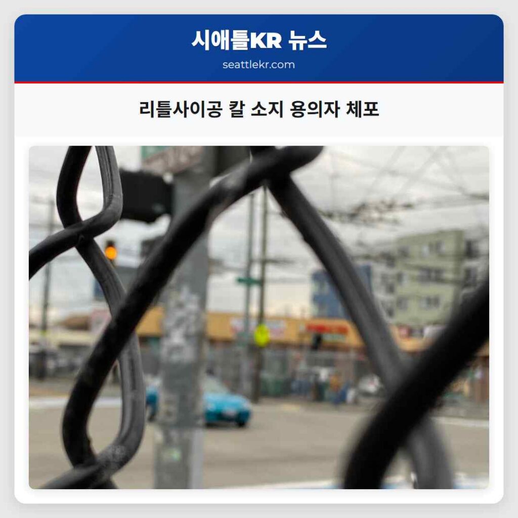 리틀사이공 칼 소지 용의자 체포