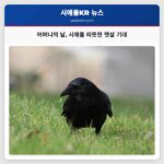 어머니의 날 시애틀 따뜻한 햇살 기대