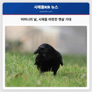 어머니의 날 시애틀 따뜻한 햇살 기대