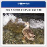 워싱턴 주 최고재판소 판사 선거 최대 관심 5석 경쟁