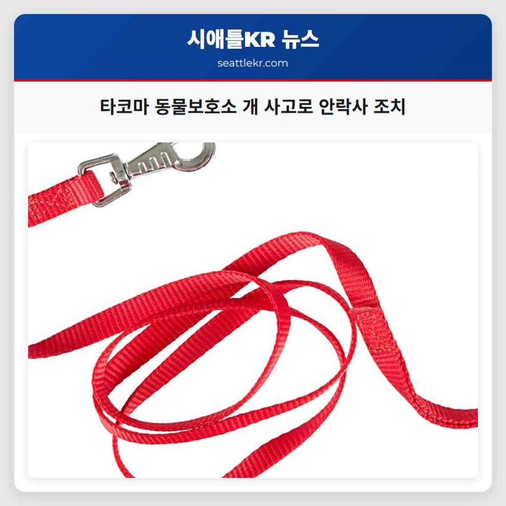 타코마 동물보호소 개 사고로 안락사 조치