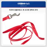 타코마 동물보호소 개 사고로 안락사 조치