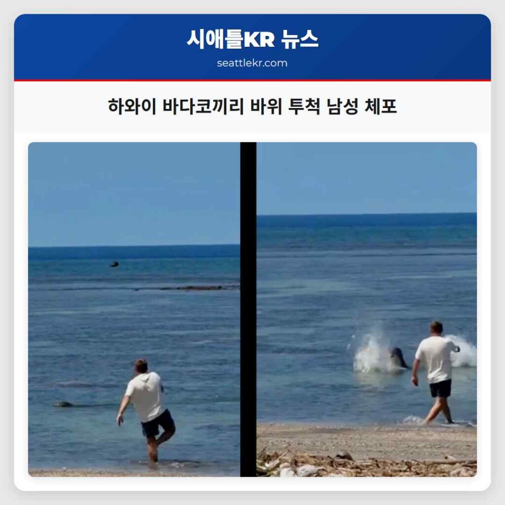 하와이 바다코끼리 바위 투척 남성 체포
