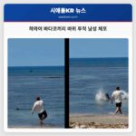 하와이 바다코끼리 바위 투척 남성 체포