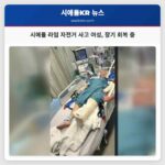시애틀 라임 자전거 사고 여성 장기 회복 중