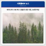 버지니아 I-95 버스 충돌로 5명 사망 34명 부상