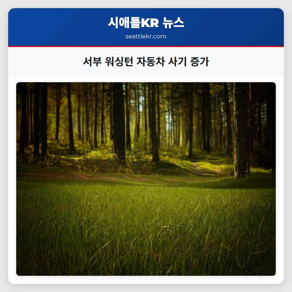 서부 워싱턴 자동차 사기 증가