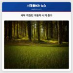 서부 워싱턴 자동차 사기 증가