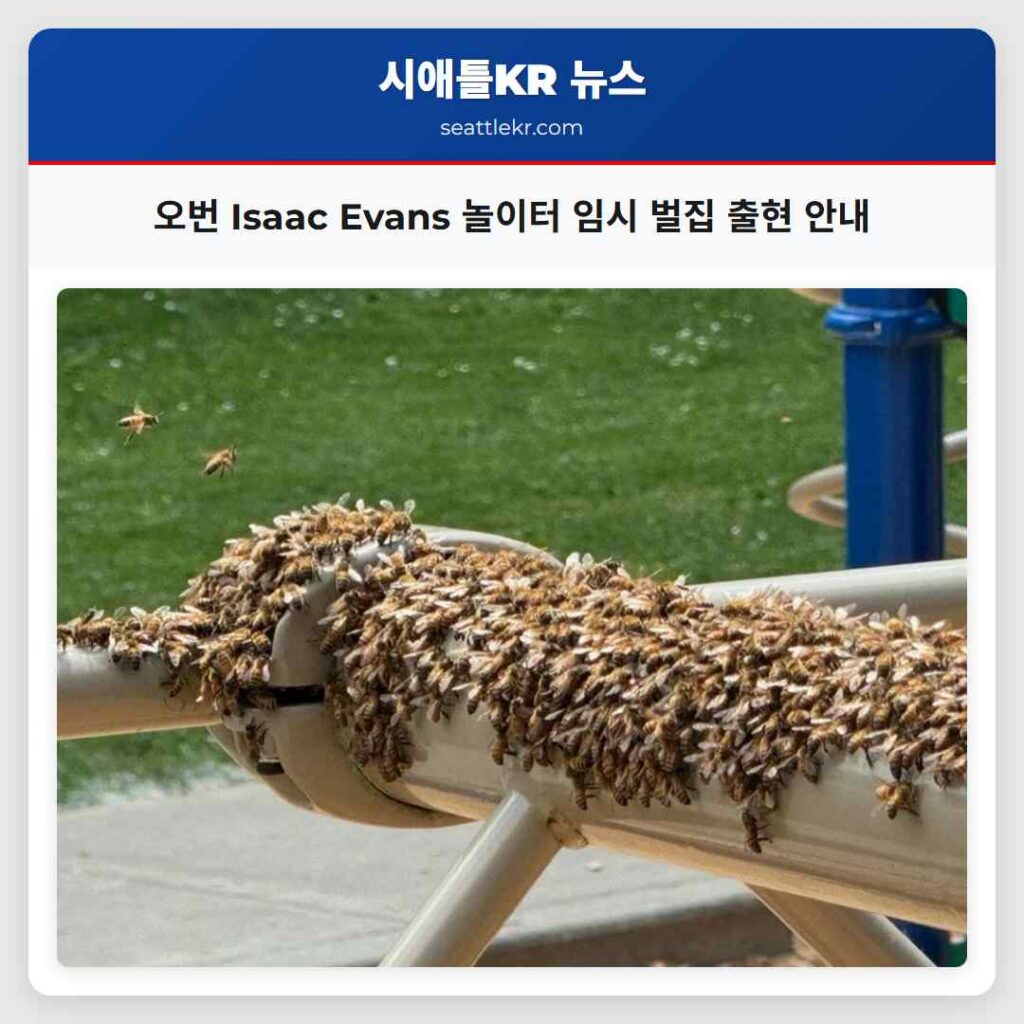 오번 Isaac Evans 놀이터 임시 벌집 출현 안내