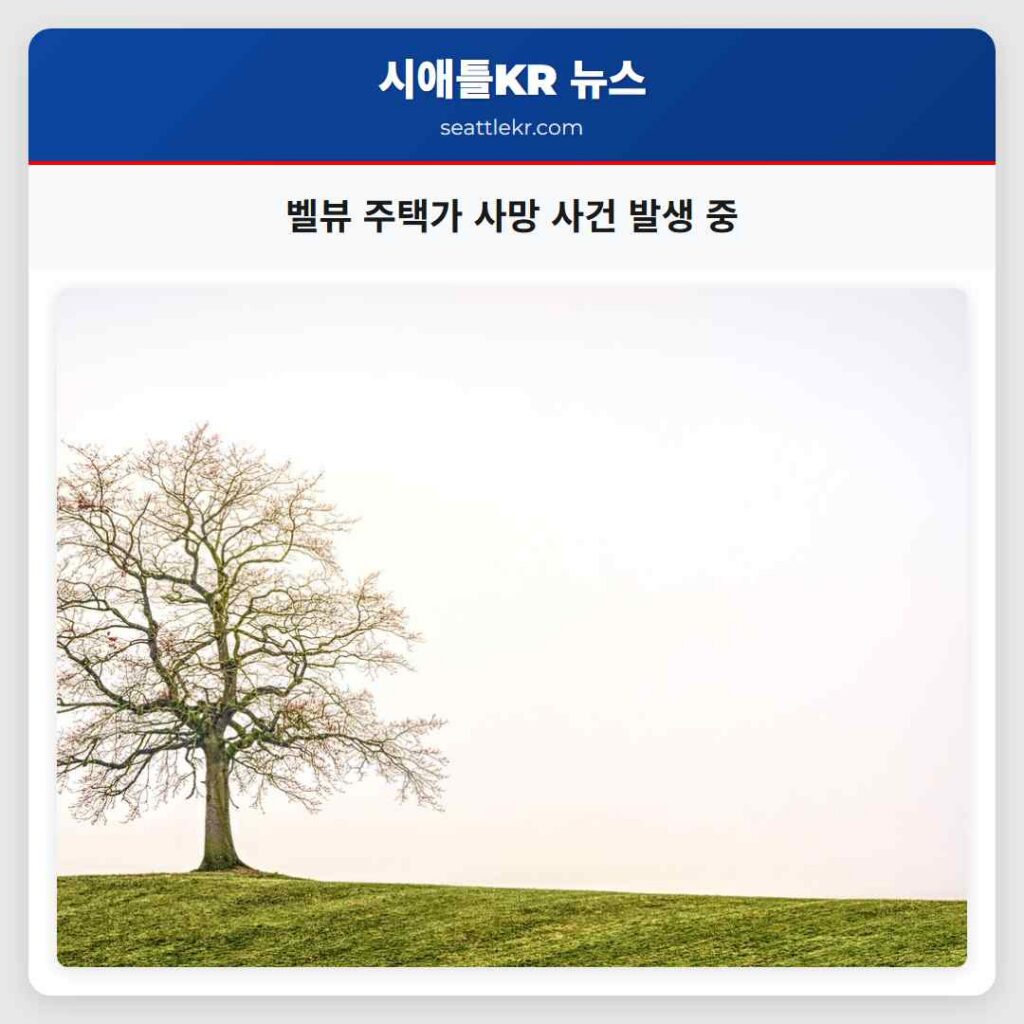 벨뷰 주택가 사망 사건 발생 중