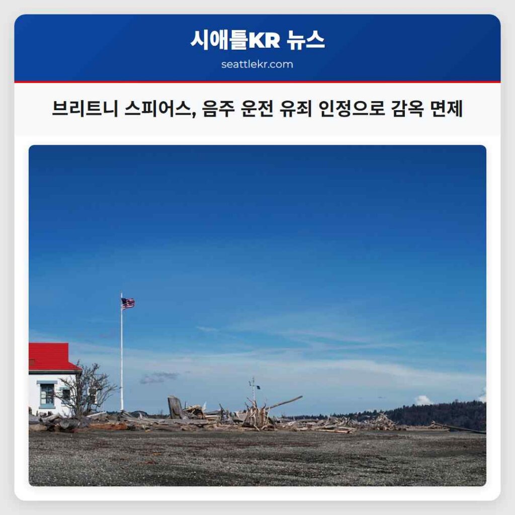 브리트니 스피어스, 음주 운전 유죄 인정으로 감옥 면제
