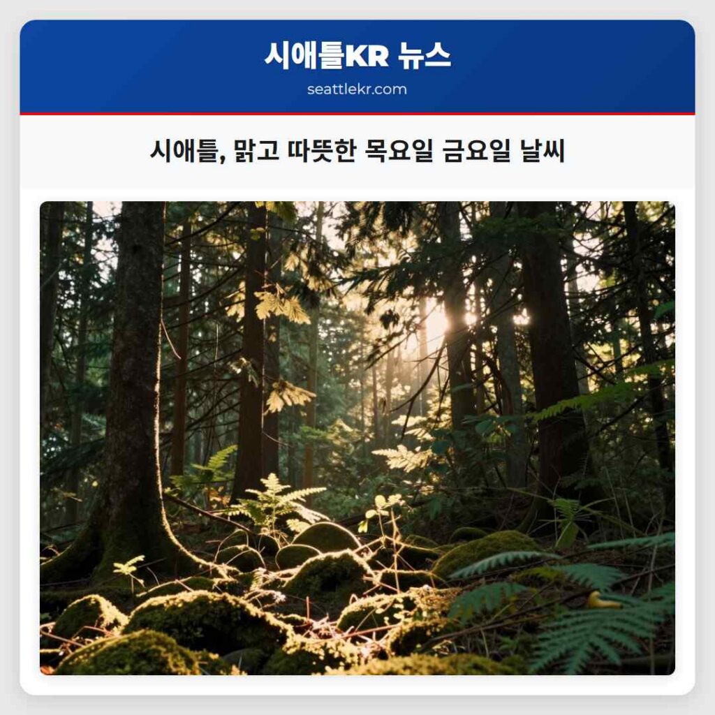시애틀, 맑고 따뜻한 목요일 금요일 날씨