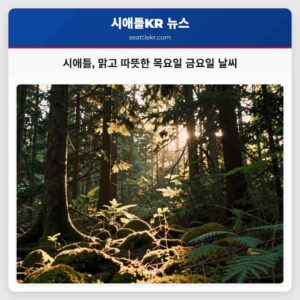 시애틀 맑고 따뜻한 목요일 금요일 날씨