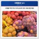 시애틀 주변 주요 도로 공사로 인한 교통 혼잡 예상