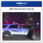피에르 카운티 청소년 총기 사고로 사망