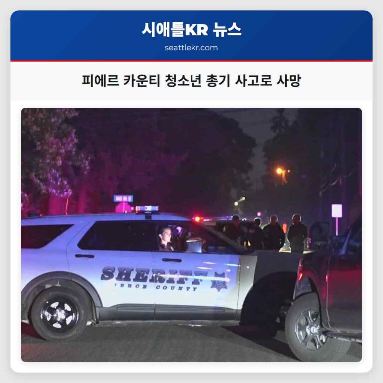 피에르 카운티 청소년 총기 사고로 사망