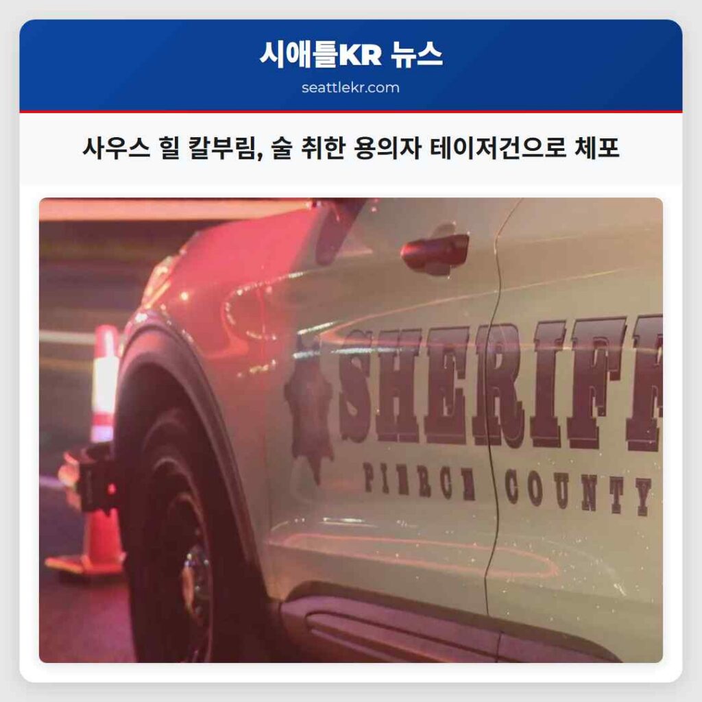 사우스 힐 칼부림, 술 취한 용의자 테이저건으로 체포