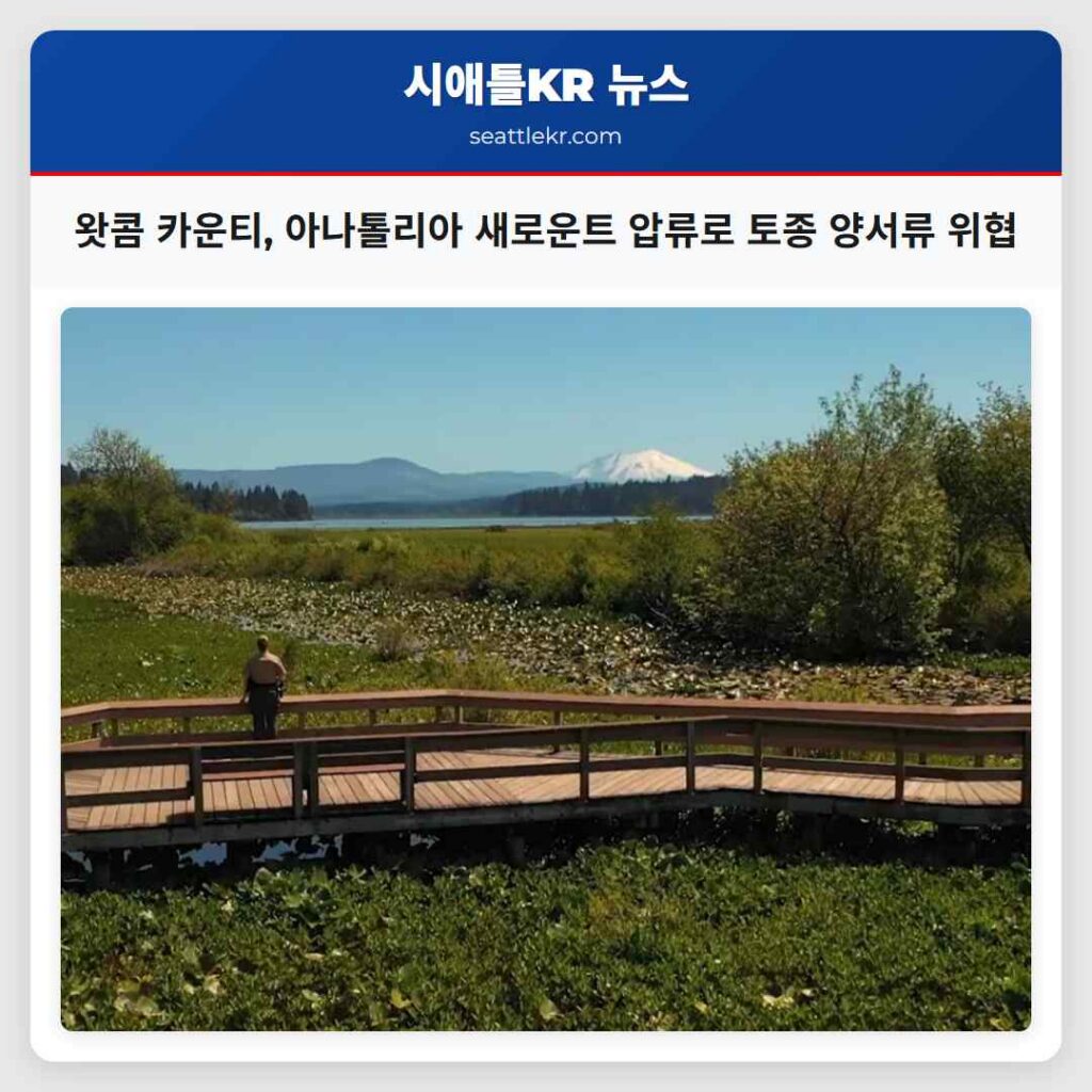 왓콤 카운티, 아나톨리아 새로운트 압류로 토종 양서류 위협