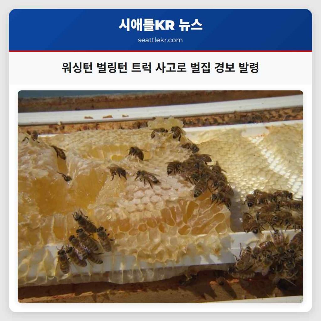 워싱턴 벌링턴 트럭 사고로 벌집 경보 발령