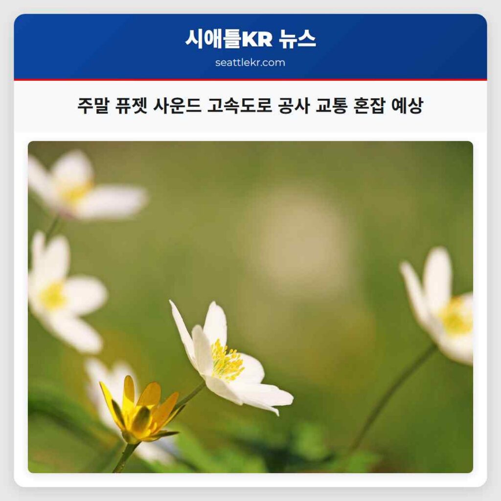 주말 퓨젯 사운드 고속도로 공사 교통 혼잡 예상