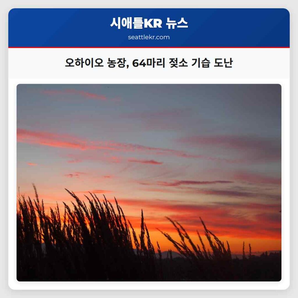 오하이오 농장, 64마리 젖소 기습 도난