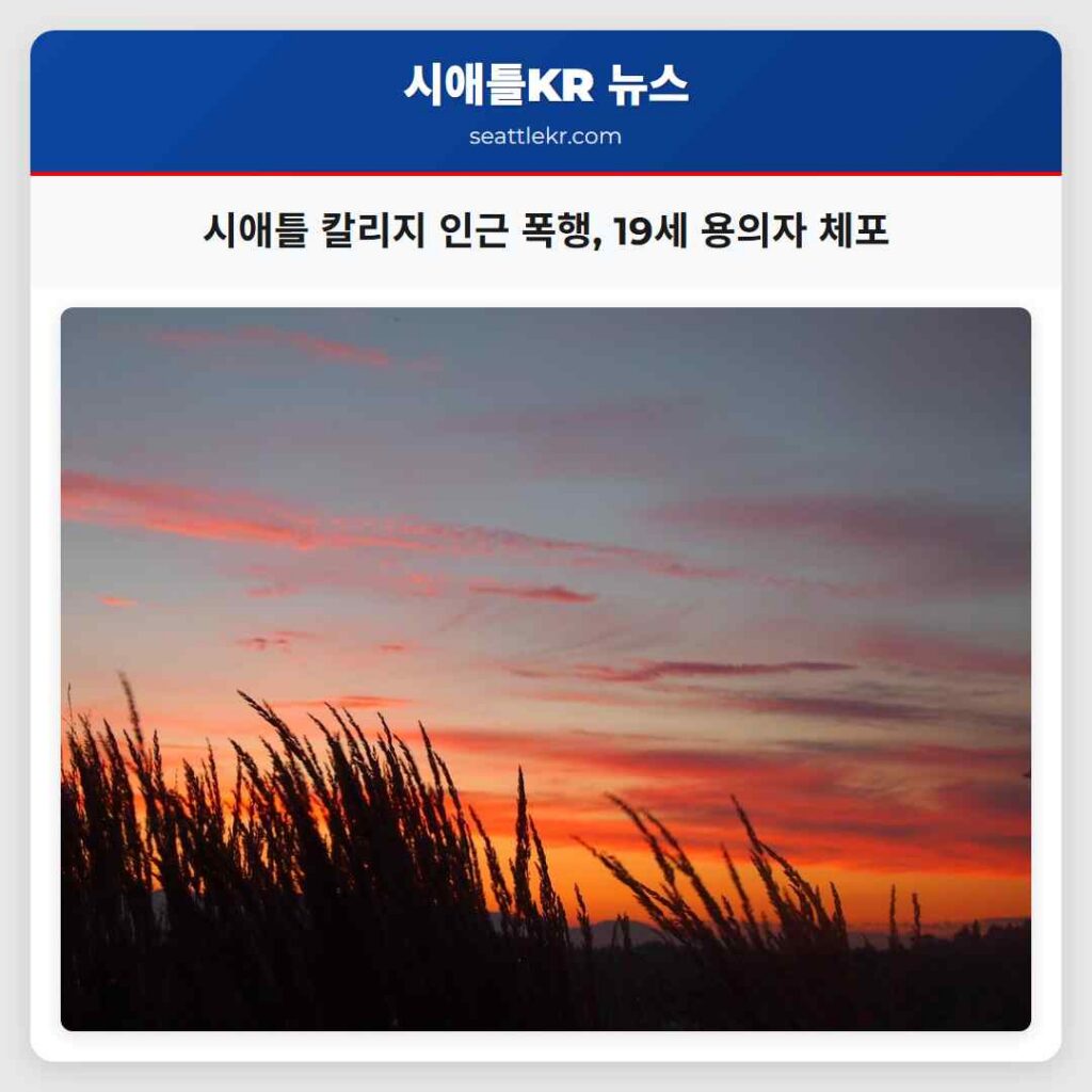 시애틀 칼리지 인근 폭행, 19세 용의자 체포