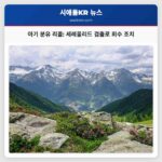아기 분유 리콜 세레울리드 검출로 회수 조치