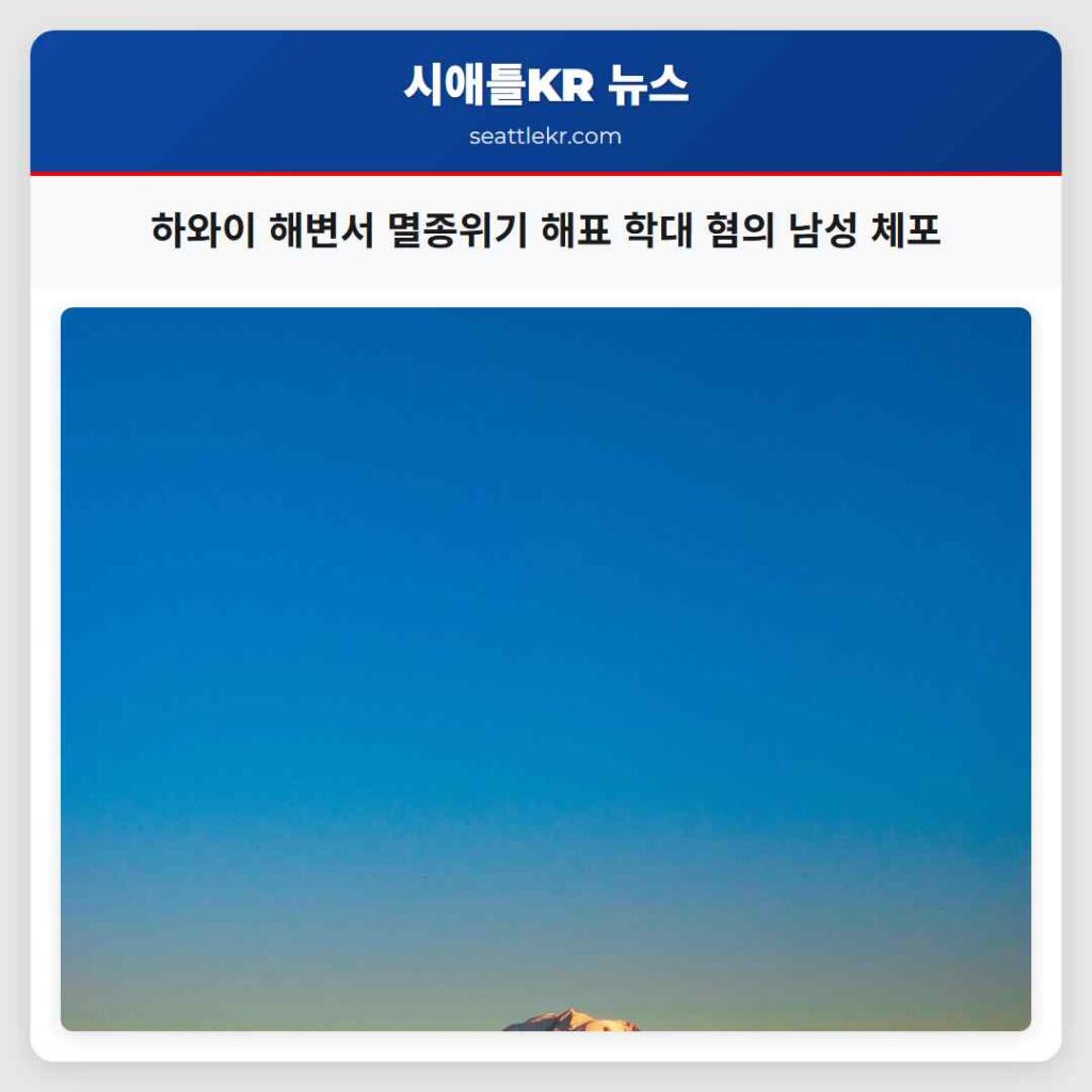 하와이 해변서 멸종위기 해표 학대 혐의 남성 체포