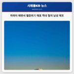 하와이 해변서 멸종위기 해표 학대 혐의 남성 체포